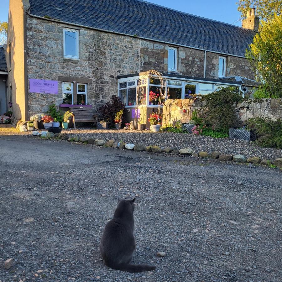 Scooniehill Farm House B&B St Andrews Exterior foto