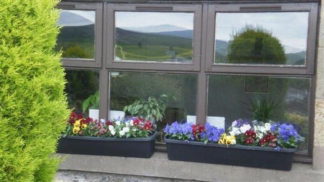 Scooniehill Farm House B&B St Andrews Quarto foto