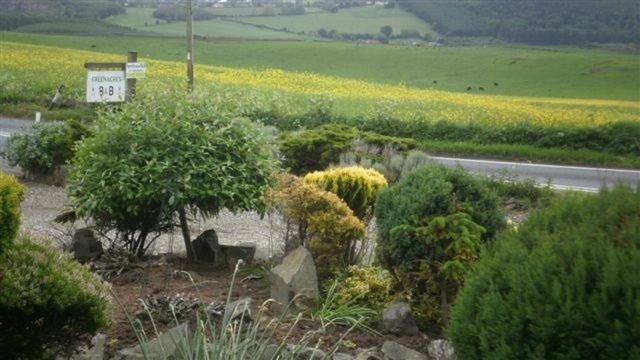 Scooniehill Farm House B&B St Andrews Quarto foto
